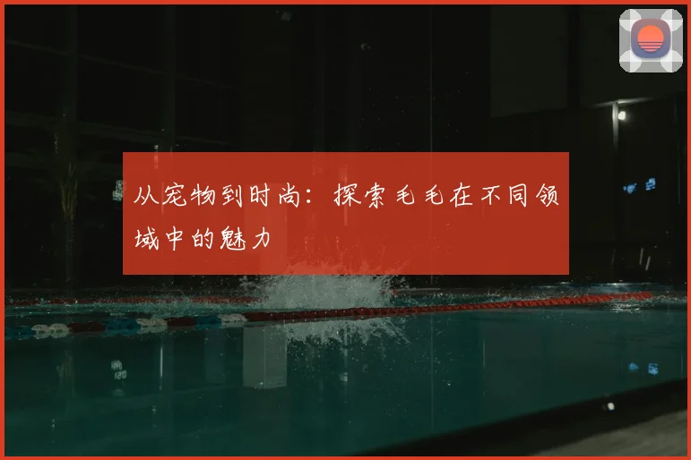从宠物到时尚：探索毛毛在不同领域中的魅力